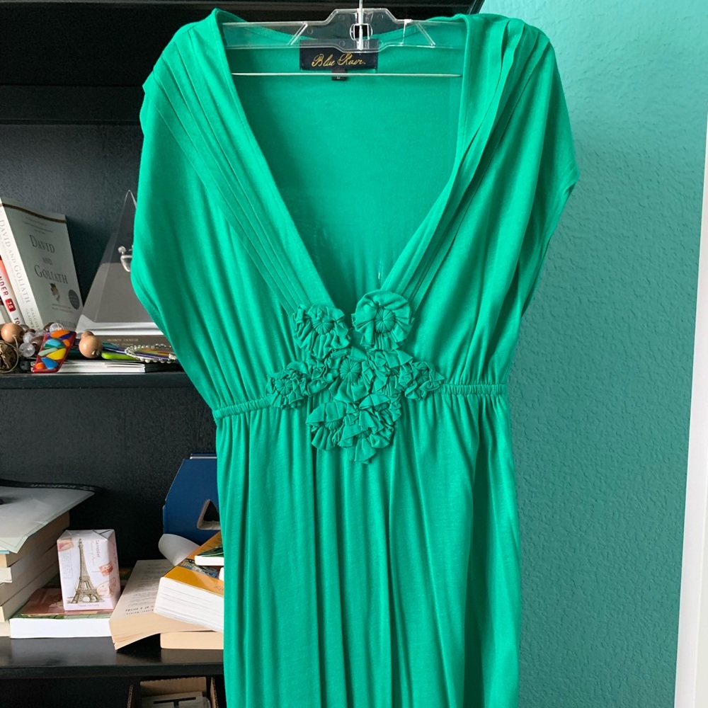Beautiful green knee length dress by Blue Rain